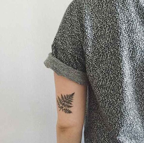 Fern tattoo on the arm