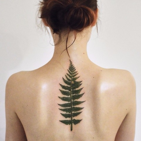 Fern tattoo on the back