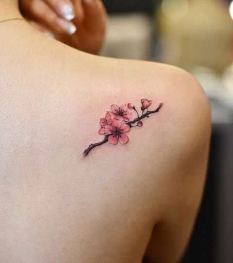 Gentle cherry blossom tattoo on the shoulder