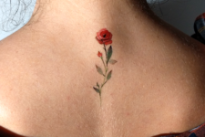 Red and green rose tattoo on the back