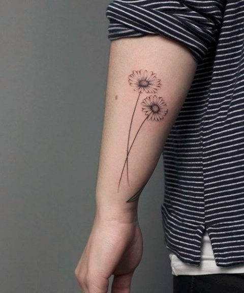 Two daisies tattoo on the forearm