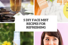 5 diy face mist recipes for refreshing cover
