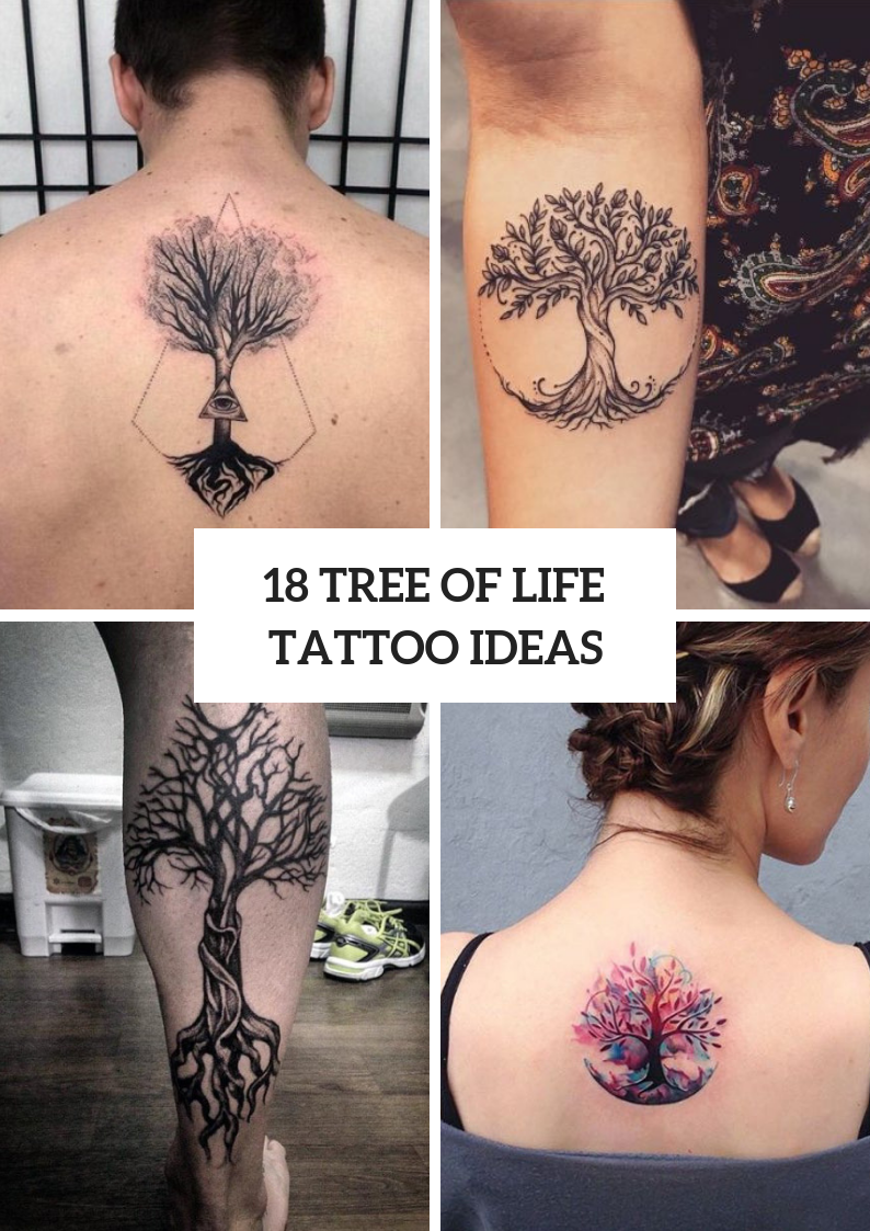 Tree Of Life Tattoos For Men And Women