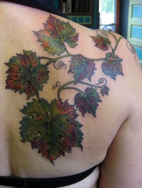 Grape leaves tattoo on the shoulder and back
