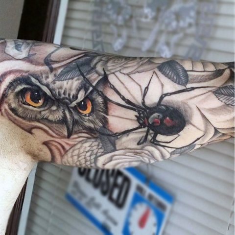 Spider and owl tattoos on the arm
