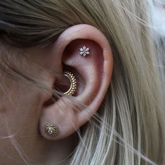a gold and a floral stud and a matching bright gold hoop earring in the daith will make your ear pop