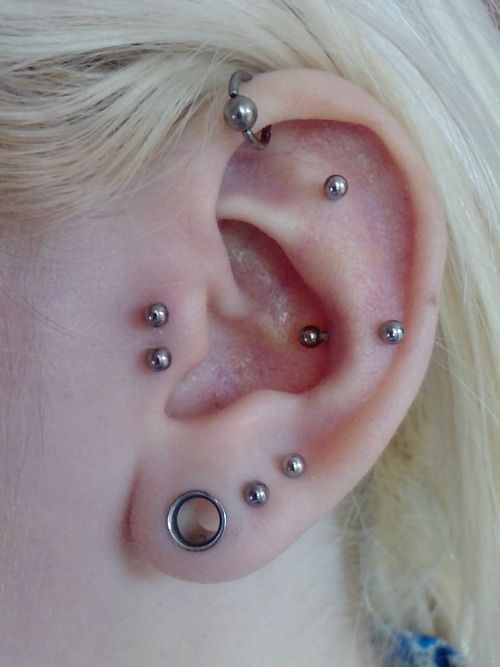 multiple piercings - in the forward helix, tragus, lobe, flat and snug with matching studs
