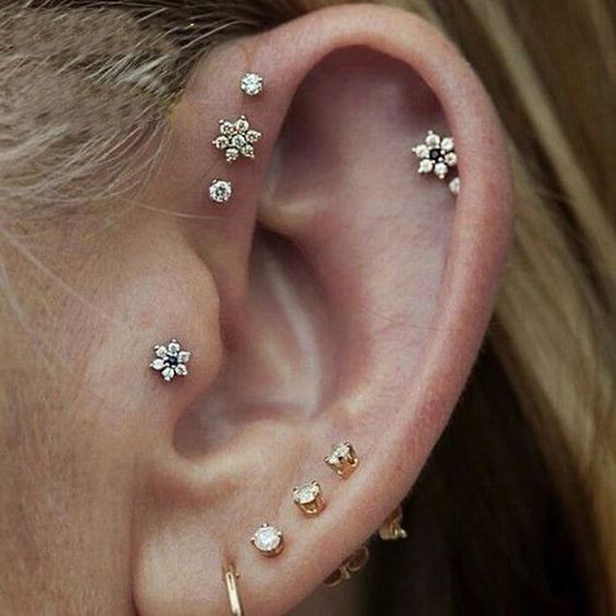 a delicate look with stacked lobe, helix and forward helix piercings plus a tragus one and cool floral and usual studs