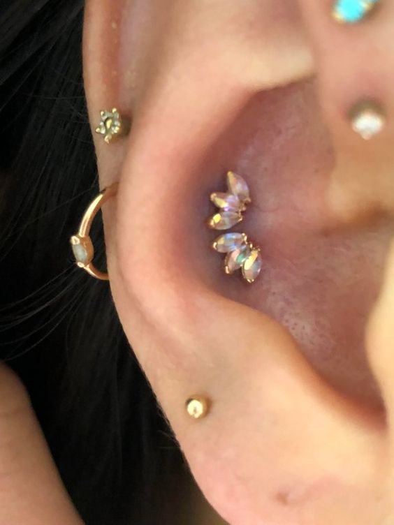 a glam look with a lobe piercing, a helix piercing, a double conch piercing with beautiful studs and hoops is awesome