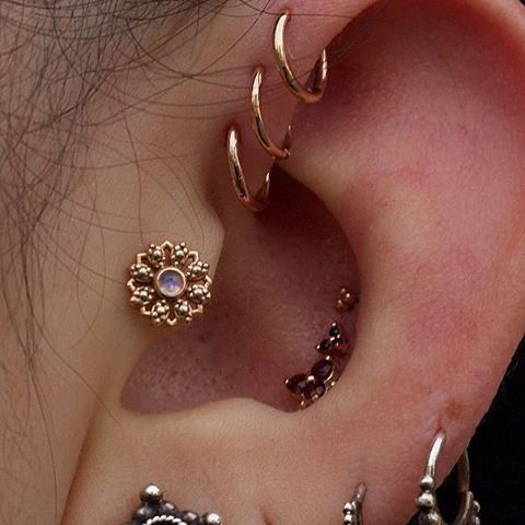 a glam look with a triple forward helix piercing, tragus, triple conch and stacked lobe piercing done with hoops and studs