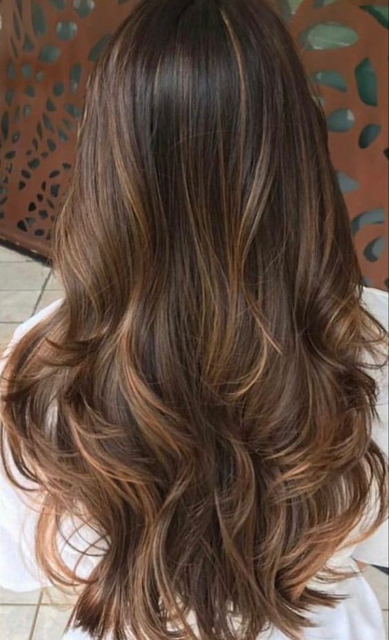 long dark brown hair with delicate caramel babylights and mathing ends for a dimensional and eye catchylook