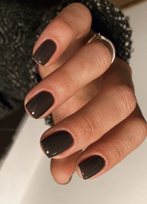 cold and dark brown nails are a fresh alternative to black ones, they look chic, stylish and this deep shade is a great solution