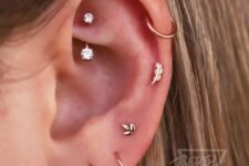 a rook, upper and mid helix plus a triple lobe piercing done with hoops and studs are an amazing combo