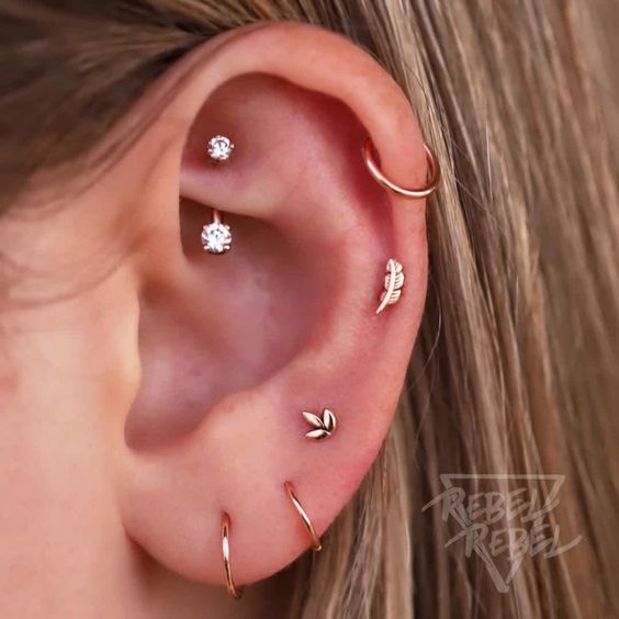 a rook, upper and mid helix plus a triple lobe piercing done with hoops and studs are an amazing combo