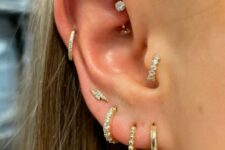 catchy ear styling with stacked lobe, high lobe, helix, rook and tragus piercing done with gold hoops and studs