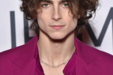 Timothee Chalamet rocking his naturally curly brunette hair, with a shorter front and longer back and a bit of highlights