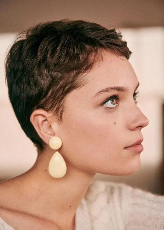 a dark brunette short pixie cut is a lovely haircut that will accent your face features a lot