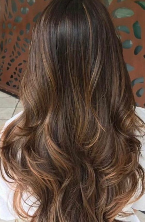 Long dark brown hair with delicate caramel babylights and mathing ends for a dimensional and eye catchylook
