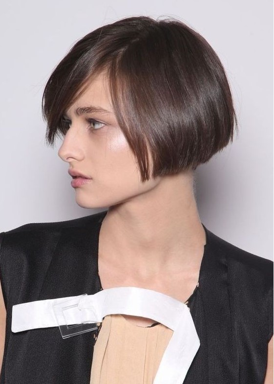 a brunette ear length bob with side parting, with a sleek finish is a catchy and stylish idea for a modern look