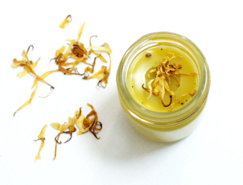 beeswax and herbs salve (via soapdelinews)