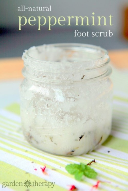 Comforting And Soothing DIY Peppermint Foot Scrub