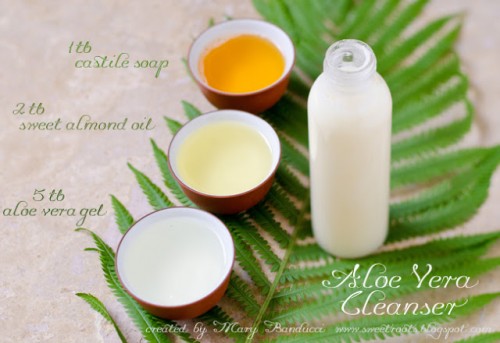 aloe vera face cleanser (via sweetroots)