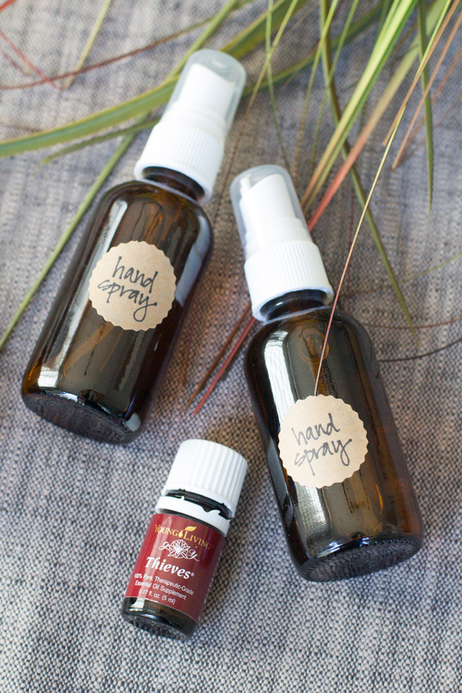 Picture Of diy hand sanitizer spray from 3 ingredients  2