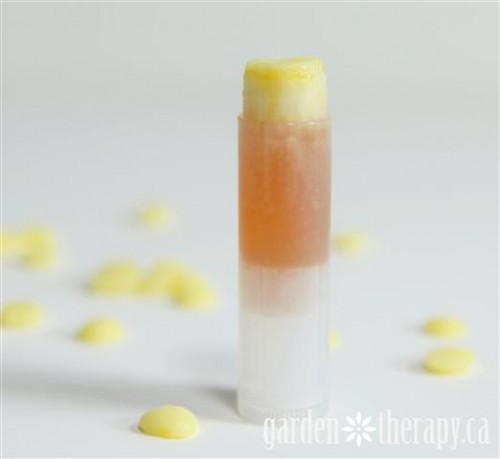 hemp honey lip balm (via gardentherapy)