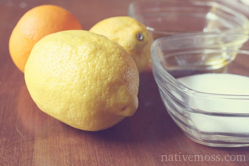 summer lemon sugar scrub (via nativemoss)